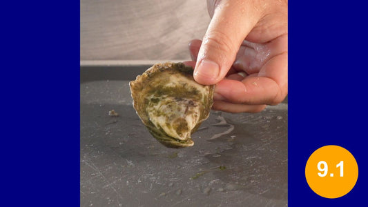 Crowe's Pasture Oyster - 9.1