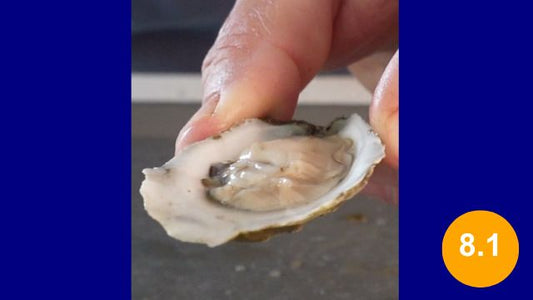 $1 Wellfleet Whole Foods- 8.1